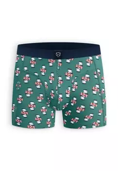 Брюки CARD-KINGS A-dam, зеленый