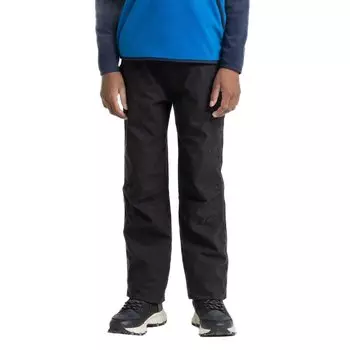 Брюки Craghoppers Kiwi II Winter Cargo, синий