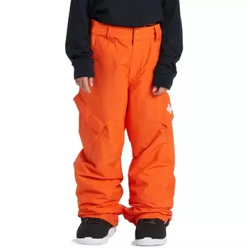 Брюки DC Banshee, цвет Orangeade
