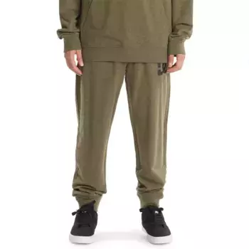 Брюки Dc Shoes Studley, зеленый