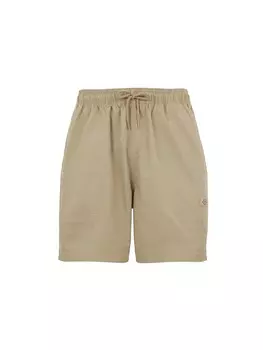 Брюки DICKIES Regular Pants Pelican, песочный