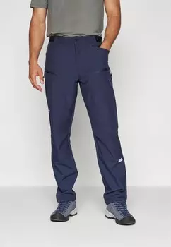 Брюки для активного отдыха BECKET Icepeak, темно-синий