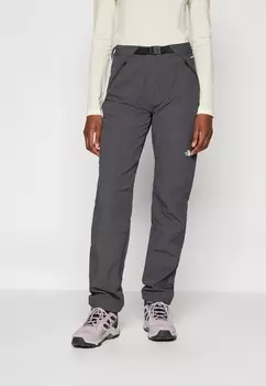 Брюки для активного отдыха DIABLO REG STRAIGHT PANT The North Face, темно-серый