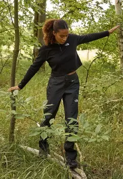 Брюки для активного отдыха JAZZI GORE TEX PANT The North Face, серый