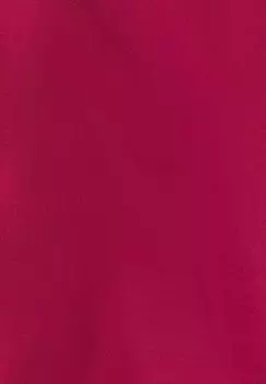 Брюки для активного отдыха TREKKING LASCANA Active, фиолетовый