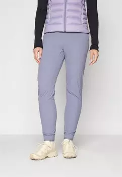 Брюки для активного отдыха WAYFARER EASE PANTS Salomon, сине-серый