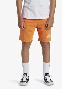 Брюки для бега EASY DAY JOGGER YOUTH Quiksilver, цвет njf0