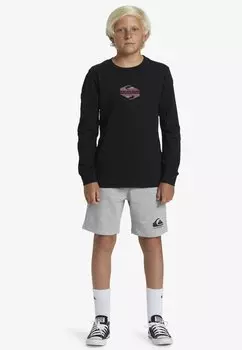 Брюки для бега EASY DAY JOGGER YOUTH Quiksilver, цвет sgrh