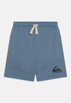 Брюки для бега EASY DAY JOGGER YOUTH Quiksilver, цвет blue grey