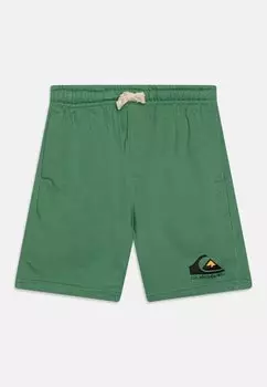 Брюки для бега EASY DAY JOGGER YOUTH Quiksilver, цвет tanne