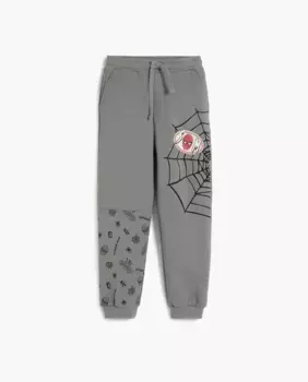 Брюки для джоггеров Boy's Spiderman Desigual, темно-серый