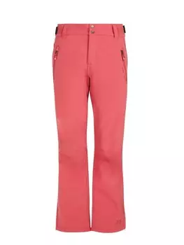 Брюки для лыж и сноуборда Protest PRTATLAS, цвет Rusticrust