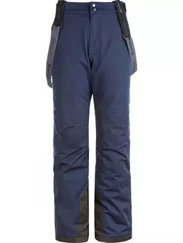 Брюки для лыж и сноуборда Whistler, цвет 2048 navy blazer