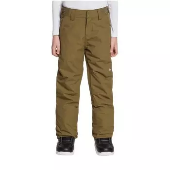 Брюки для мальчиков Quiksilver, хаки