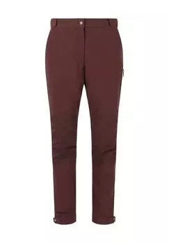 Брюки для походов на открытом воздухе с дышащими, водонепроницаемыми и ветрозащитными свойствами WHISTLER, цвет 4241 Fudge