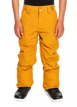 Брюки для сноуборда estate Quiksilver