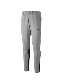 Брюки для тренировок и бега Puma teamCup Jogginghose, серый