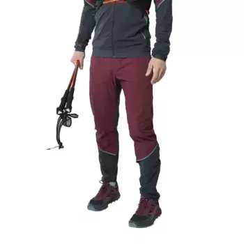 Брюки Dynafit Alpine Hybrid, красный