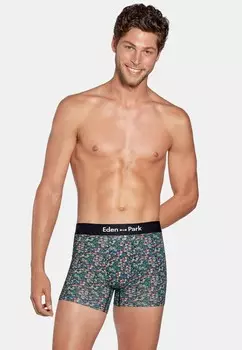 Брюки Eden Park, зеленый