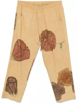 Брюки Enclave Baziszt, желтый