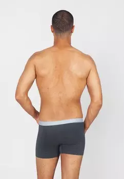 Брюки GUSTAV Erlich Textil, серый