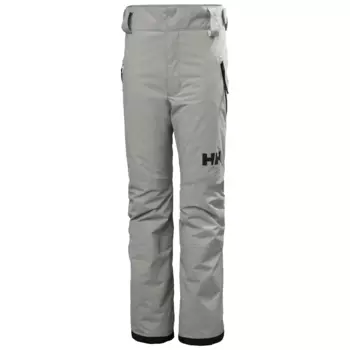 Брюки Helly Hansen Legendary