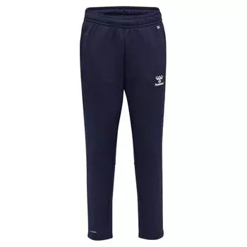 Брюки Hummel Core XK Training Poly, синий