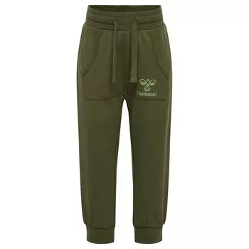 Брюки Hummel Futte Tracksuit, зеленый