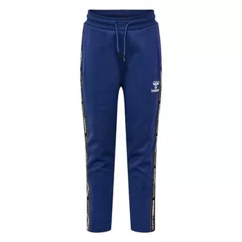 Брюки Hummel Refresh Tracksuit, синий