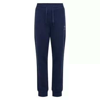 Брюки Hummel Wong Tracksuit, синий