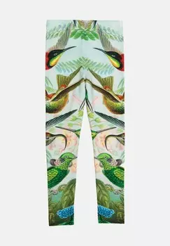 Брюки HUMMINGBIRD, Leggings DUE., неоновый зеленый