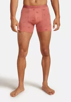 Брюки icebreaker, цвет Plume Aop