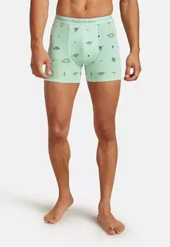 Брюки icebreaker, мята