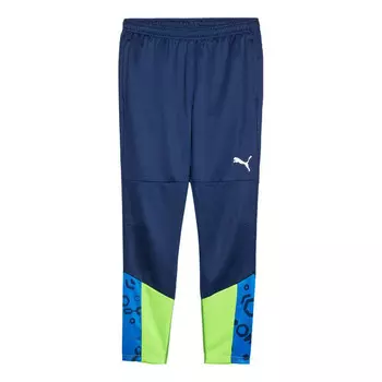 Брюки individualcup football training pants 'blue green' Puma, синий
