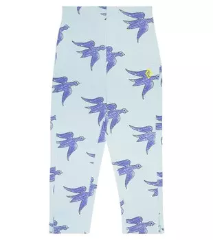 Брюки из хлопкового джерси с принтом Camaleon The Animals Observatory, синий