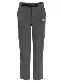 Брюки из софтшелла Jack Wolfskin "ACTAMIC PANTS K", зеленый