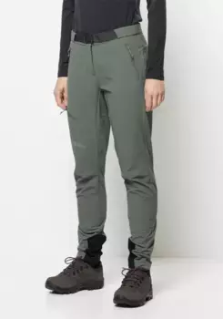 Брюки из софтшелла Jack Wolfskin "ZIEGSPITZ PANTS W", зеленый