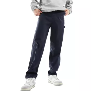 Брюки Jack & Jones Intelligence Karl Worker, синий