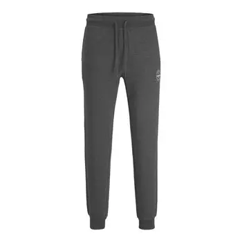 Брюки Jack & Jones Jogging Gordon Shark, серый