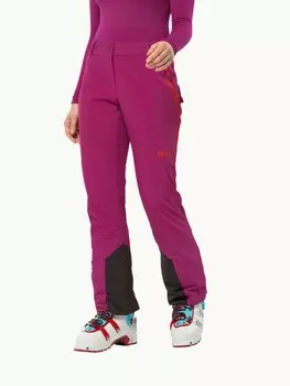 Брюки Jack Wolfskin ALPSPITZE TOUR PANTS W, розовый