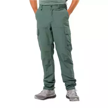 Брюки Jack Wolfskin Barrier, зеленый
