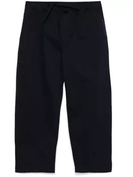 Брюки Йен DARKPARK, синий