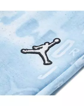 Брюки Jordan Essentials All Over Print Pants, цвет Ice Blue