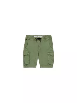Брюки карго ALPHA INDUSTRIES, зеленый
