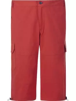 Брюки карго Jan Vanderstorm HELLFRIED, цвет Cranberry