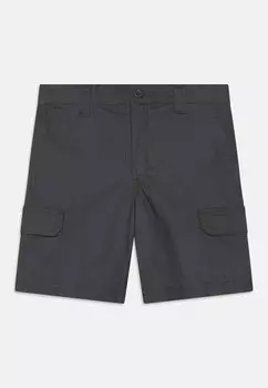 Брюки-карго KIDS UNISEX Dickies, серый