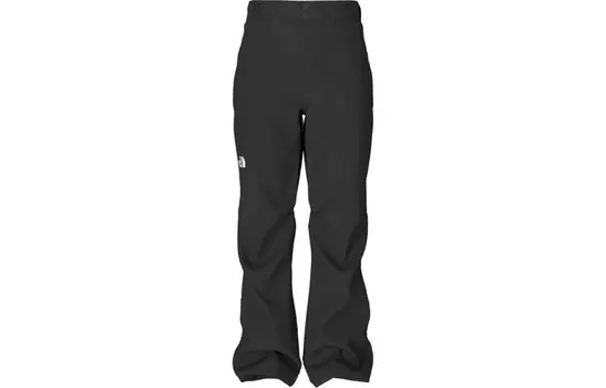 Брюки-карго мужские черные The North Face, черный