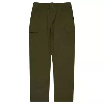 Брюки карго Quiksilver Taxer, зеленый