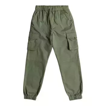 Брюки-карго Quiksilver «WE GET BY CARGO SURF PANT YOUT», цвет FOUR LEAF CL