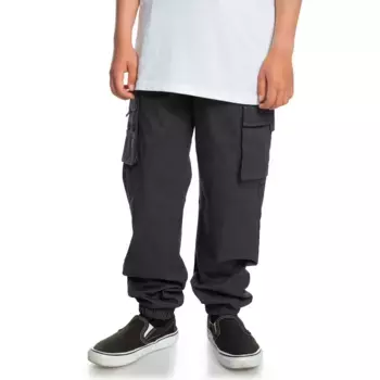 Брюки-карго Quiksilver «WE GET BY CARGO SURF PANT YOUT», цвет TARMAC